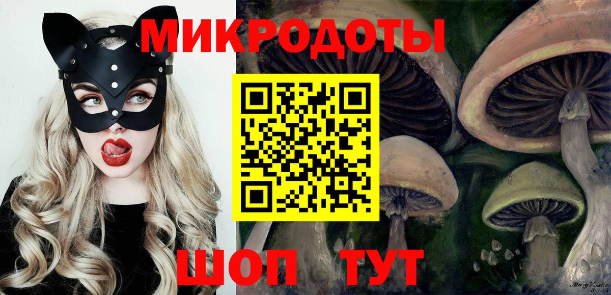 Галлюциногенные грибы прущие грибы Саяногорск