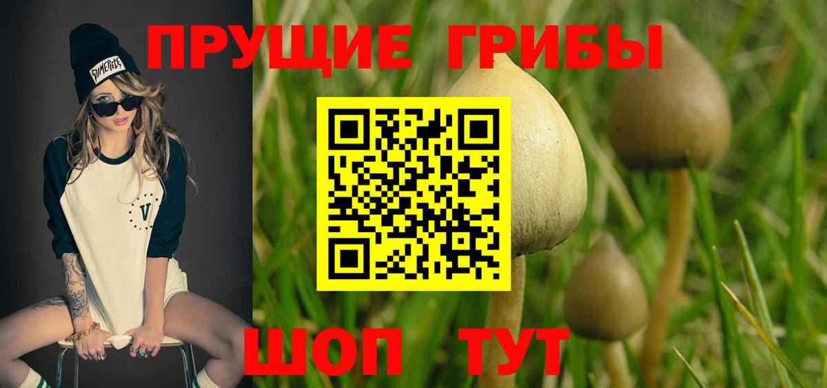 Саяногорск  Псилоцибиновые грибы Cubensis  Вход с VPN  Галлюциногенные грибы мухоморы 